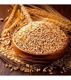 Malt Natural flavour